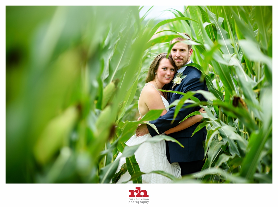 A Wedding Couple in a corn field at their Barn at Richardson Farm Wedding.