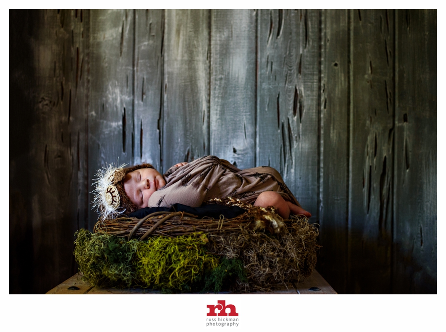 A Newborn Baby in a birds nest for a Philadelphia Newborn Photography Session.